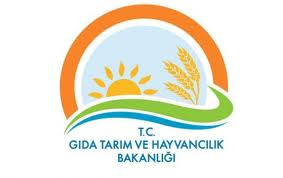 Resmî ekte yer alan şekil veya formül